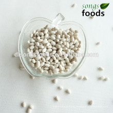 Professional white pea bean importer